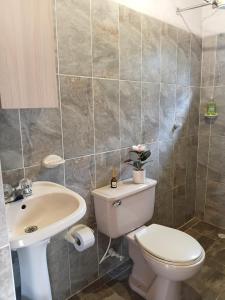 a bathroom with a toilet and a sink at Alma de Acero in Envigado