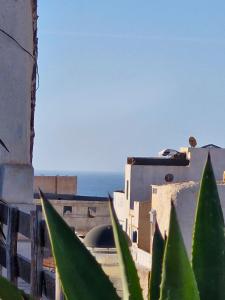 a view of the ocean from a building with green plants at Hôtel grand Atlas in Mirleft +8 photos