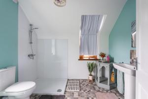 a bathroom with a toilet and a sink at Corlea Studio in Dunwish +42 photos