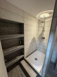a bathroom with a shower with a toilet and a sink at La Galiote in Agde