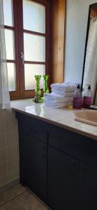 a bathroom counter with a sink and a mirror at Gîte La petite maison 2 ch bain nordique privé Skadi & sauna in Les Fontenelles