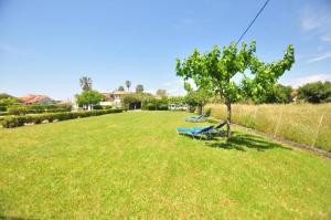 a park with a blue bench and a tree at Alexandra On The Beach in (( Litherés ))