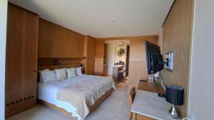 a bedroom with a bed and a desk and a television at Zantamar Riviera Nayarit at La Cruz de Huanacaxtle in Cruz de Huanacaxtle