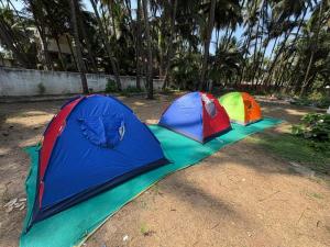 three tents sitting on the ground in a field at Sea front tent house in Murud +8 photos
