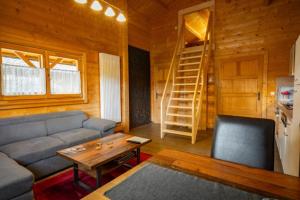 a living room with a couch and a table at Waldsiedlung - Haus 9 in Senftenberg