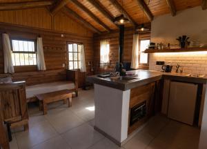 a kitchen with a sink and a counter in a room at Finca La Vilina - Cabaña Aurora in San Rafael