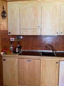 a kitchen with a sink and wooden cabinets at Casa Chigi in Valdidentro