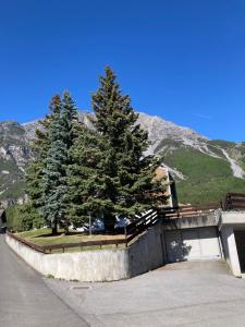 a building with two trees in front of a mountain at Casa Chigi in Valdidentro
