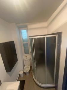 a bathroom with a shower and a toilet at Le Quai Confort T2 - in Ax-les-Thermes +22 photos