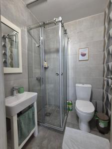a bathroom with a shower and a toilet and a sink at Studio Apartman 47A in Valjevo