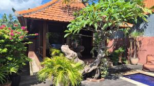 a house with a bunch of plants in front of it at Villa Intan 2 in Amed