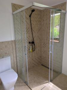 a shower stall with a toilet in a bathroom at PASENIÑO - Aloxamento rural in Palas de Rei