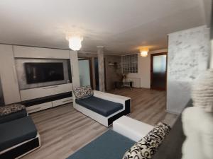 a living room with a couch and a flat screen tv at Proprietate privata in Lazu