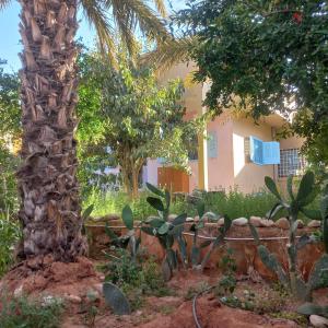 a palm tree and a wall in front of a house at Oasispalmares in Er Rachidia