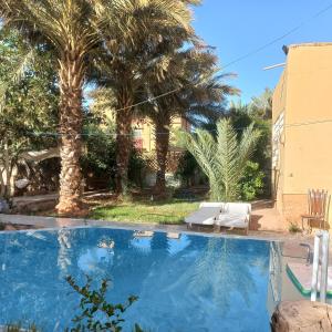 a swimming pool in a yard with palm trees at Oasispalmares in Er Rachidia