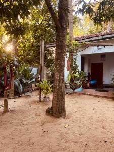 a house with a tree in front of it at KR Villa in Arugam Bay