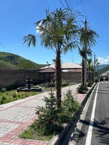 a street with palm trees on the side of a road at Lucy Apartment Goris in Goris