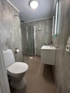 a bathroom with a toilet and a sink and a shower at Jugend 1902 in Ålesund +14 photos