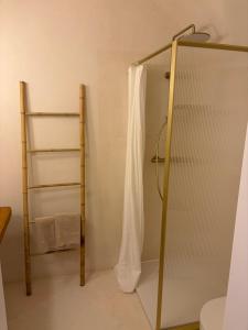 a bathroom with a shower with a shower curtain at room4you Lambach Apartment, Studiozimmer & Zimmer in Lambach