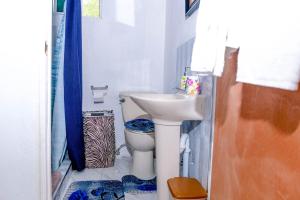a white bathroom with a toilet and a sink at Sharays Hideaway in Bull Bay