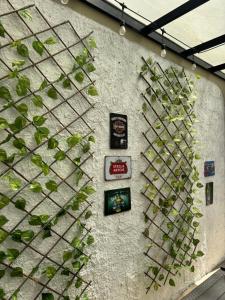 a wall with green ivy growing on it at Casa Privada con Piscina in Salinas