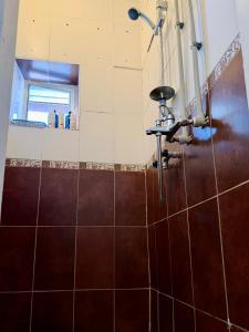 a shower in a bathroom with brown tiles at Skruzdėlynas in Nida