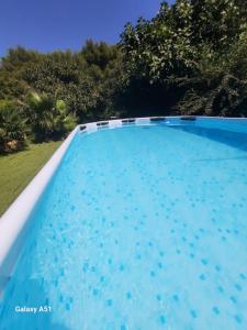 a large blue swimming pool with trees in the background at La Palmeraie in Istres