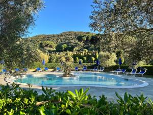 a swimming pool with chairs and a hill in the background at Dimora degli Ulivi in Bagnaia