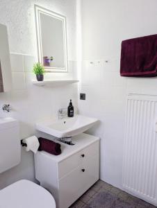 a white bathroom with a sink and a toilet at MeLou FeWo NaturQuartier Wellness in Bad Lauterberg +19 photos
