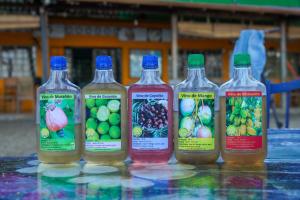 a group of four bottles of juice on a table at Hostal Flor de Pochote in Masatepe