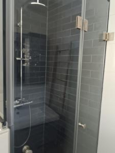 a shower with a glass door in a bathroom at Apartment2-Rosanna in Plataria +18 photos