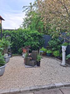a garden with potted plants in a yard at Nett'Als Lodge Studio Apartment in Derby