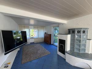 a living room with a fireplace and a flat screen tv at Ferienhaus Hofgut von Schaewen in Waldesch