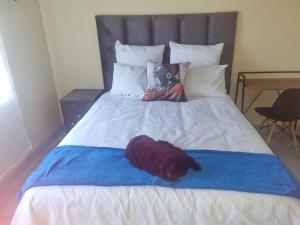 a bed with a blue blanket on top of it at Melos Cosy Retreat in Ezulwini