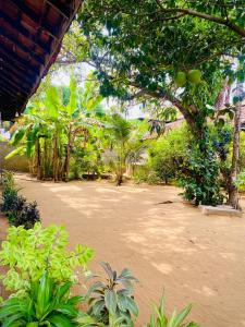 a garden with a lot of trees and plants at Moonlight Villa in Pottuvil