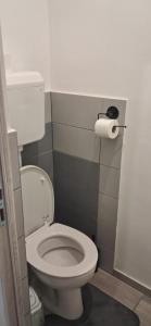 a bathroom with a toilet and a roll of toilet paper at Centralhome in Miskolc