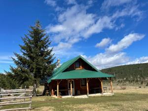 a small cabin with a green roof next to a tree at Ivanovo Polje Chalet in Pljevlja