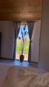 a bedroom with a window with a vase with a plant at Charming Village Farmhouse, Çukë in Sarandë