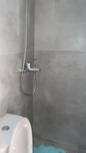 a shower in a bathroom with a toilet at Charming Village Farmhouse, Çukë in Sarandë +19 photos