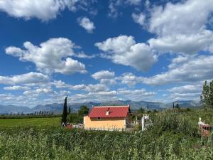 a house with a red roof in a field at Charming Village Farmhouse, Çukë in Sarandë