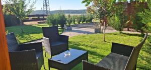 a patio with chairs and a table in the grass at Alpakavendégház in Balatoncsicsó +8 photos