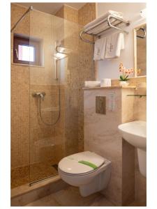 a bathroom with a shower and a toilet and a sink at Casa Soarelui in 2 Mai +33 photos
