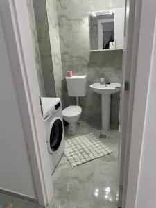 a bathroom with a toilet sink and a washing machine at Apartment complex in Roşu