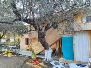 a tree in front of a house with a staircase at Petrohori before midnight in Pylos