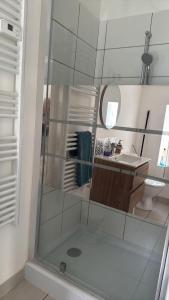 a bathroom with a shower with a sink and a mirror at Studio nature in Saran