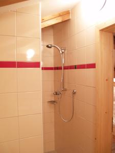 Kúpeľňa v ubytovaní Apartments Stegmühle