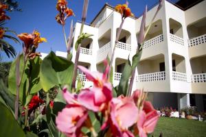 a white building with flowers in front of it at olivensun studio 10 3rd floor in Gythio