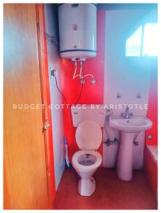 a bathroom with a toilet and a sink at Budget Cottage By Aristotle in Srinagar +4 photos