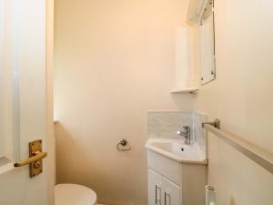 a small bathroom with a sink and a toilet at Orchard Cottage in Ledbury