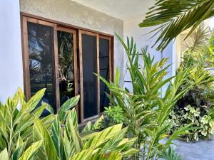 a window of a house with plants in front of it at Hotel Lunazul In Costa Esmeralda in La Vigueta